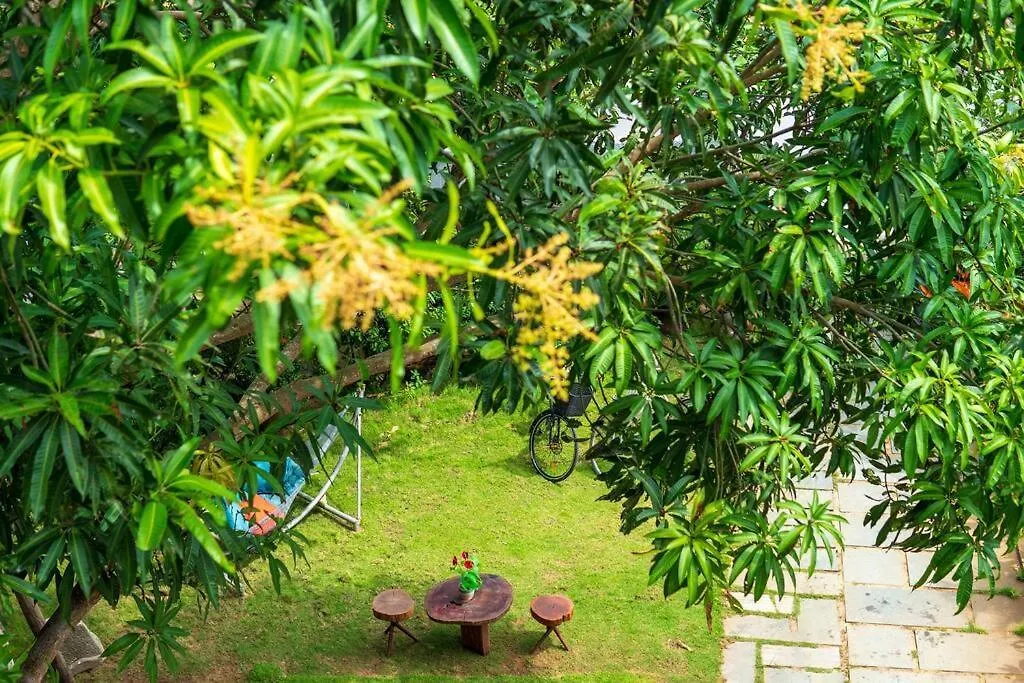 Flora Villa 会安 越南